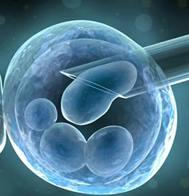 Stem Cell Therapy at a Licensed Clinic Stem cell therapy administered at a licensed clinic