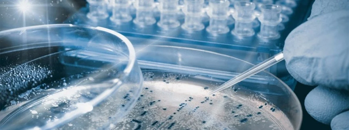 Stem Cells For Addiction and Drug Treatment