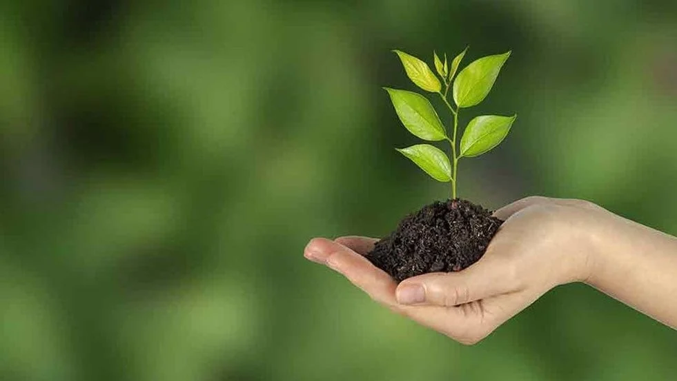 Finding Purpose in Life by Fighting Drug Addiction
