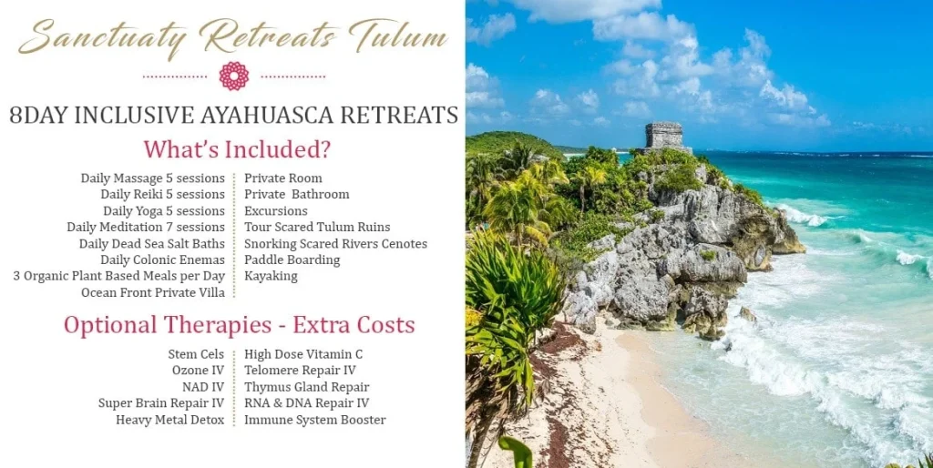 Most Exclusive Retreats in The World Holistic Sanctuary Retreats Tulum