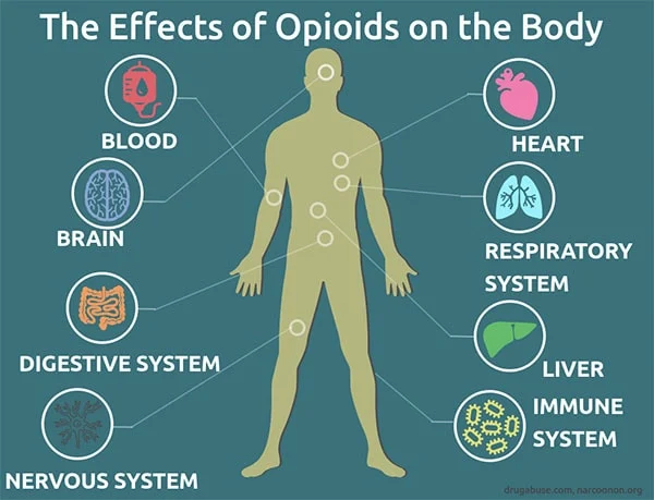 The effect of opioid use