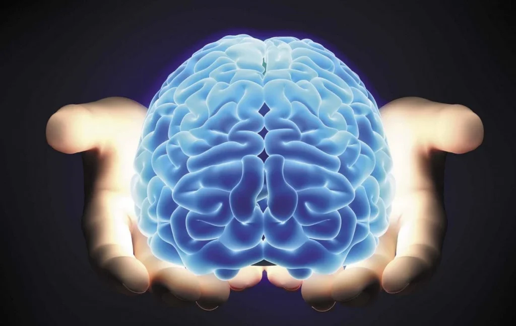 Bio-Neuro Feedback in Holistic Healing