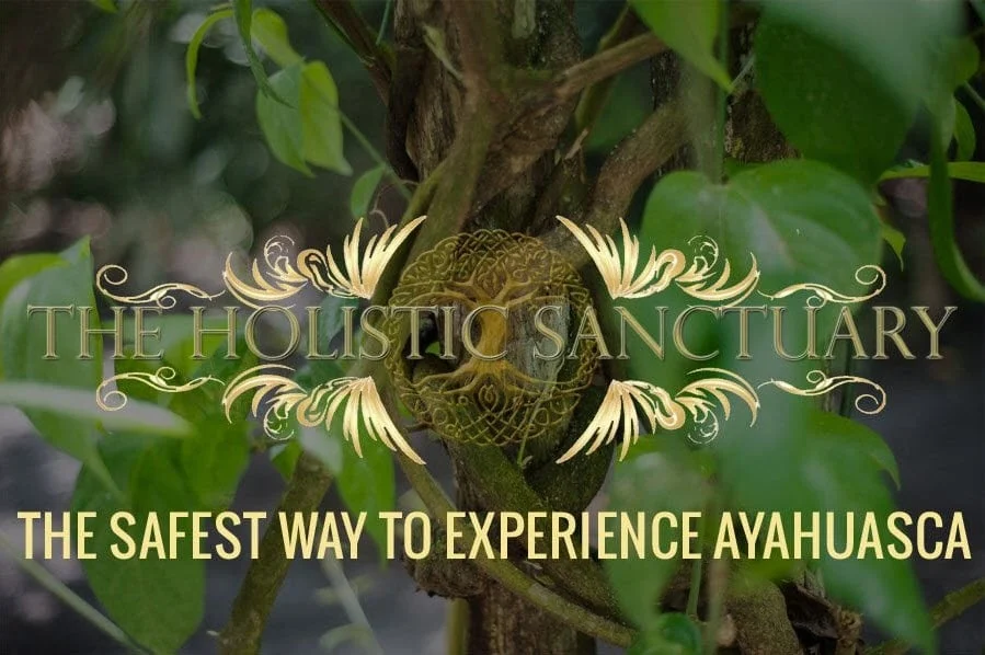 safest way to experience ayahuasca