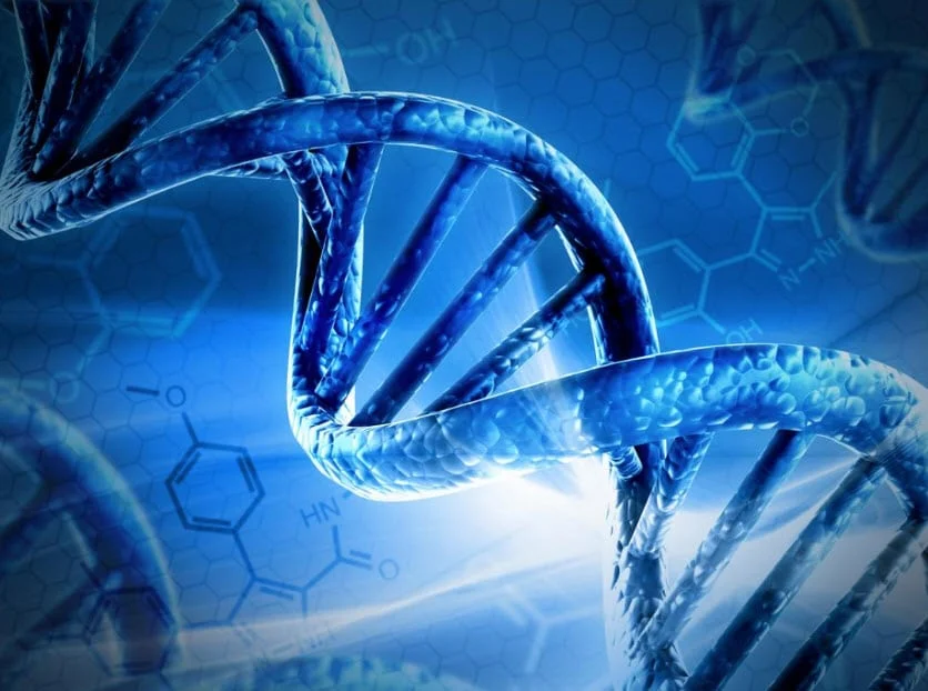 What role will stem cells play in treating addictions?
