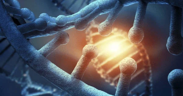 Holistic Sanctuary Provides Stem Cell Treatment for Lyme Disease