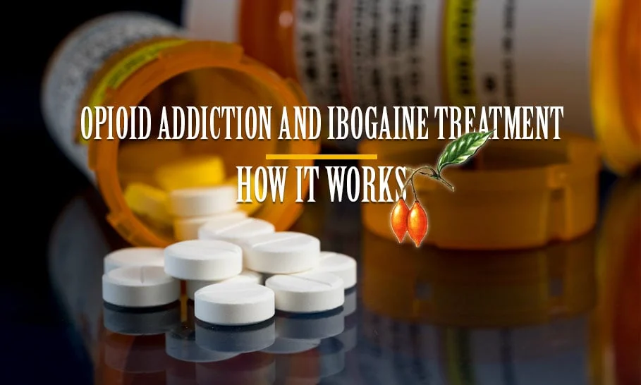 Opioid Addiction and Ibogaine Treatment: How it Works 2025