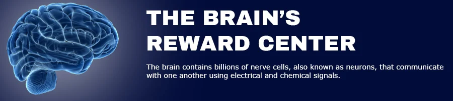 The Brain’s Reward Center