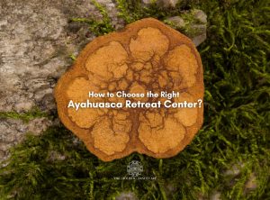 Our Ayahuasca Retreats vs Other Retreat