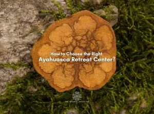 Our Ayahuasca Retreats vs Other Retreat