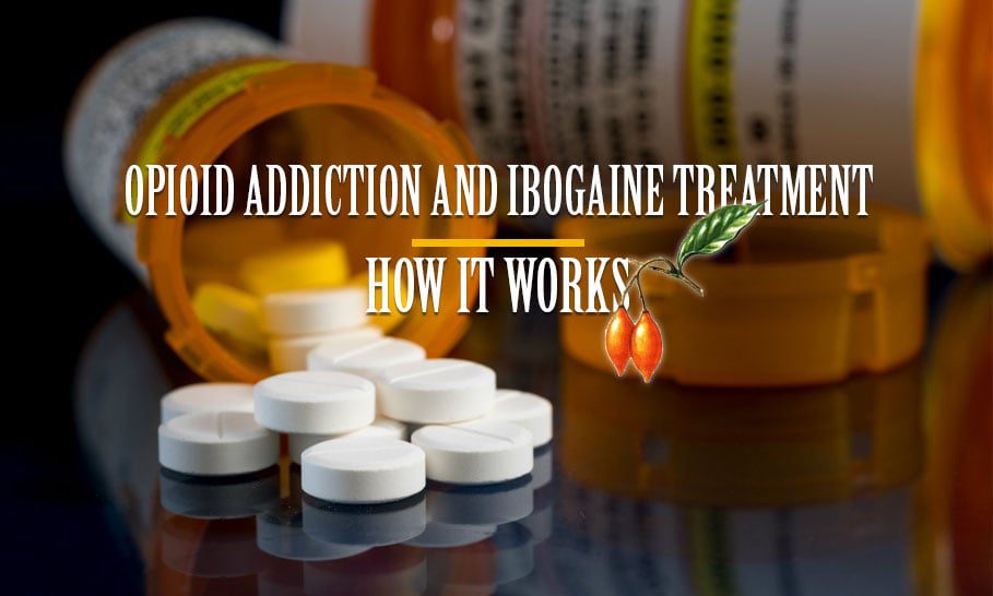 Opioid Addiction and Ibogaine Treatment: How it Works 2025