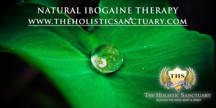 natural ibogaine therapy