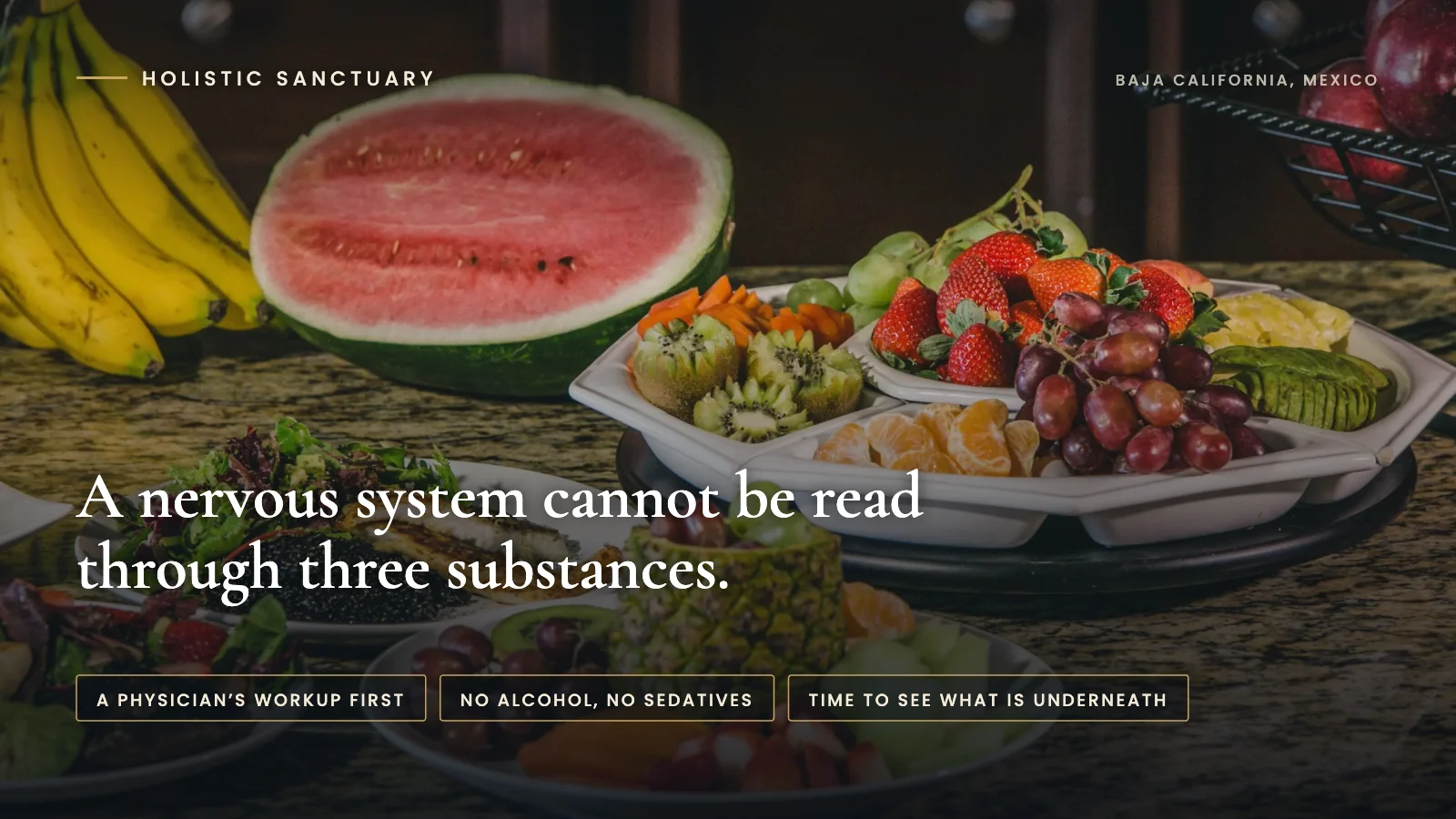 Infographic over a platter of fresh fruit, berries and salad on the organic kitchen counter at Holistic Sanctuary in Baja California, Mexico, stating that a nervous system cannot be read through three substances, with labels for a physician's workup first, no alcohol and no sedatives, and time enough to see what is underneath.
